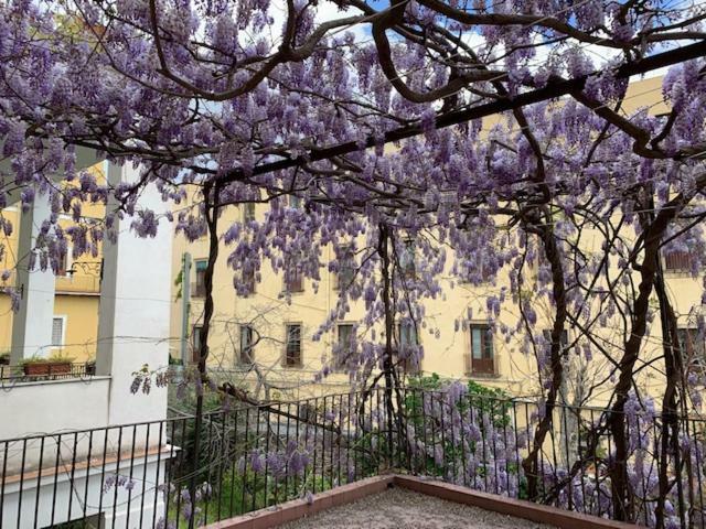 Il Glicine Apartment